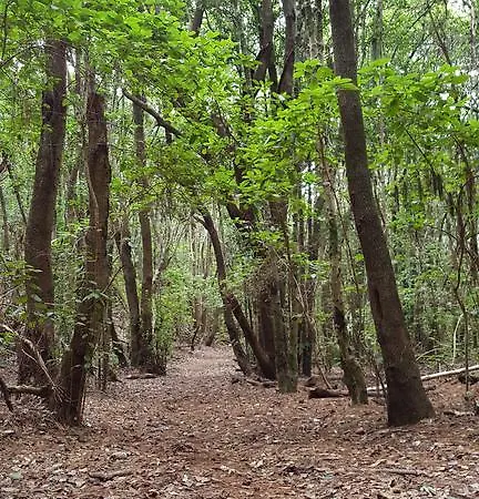 Appartement Altamira Bajamar (La Laguna)