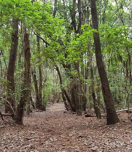 Apartman Altamira Bajamar